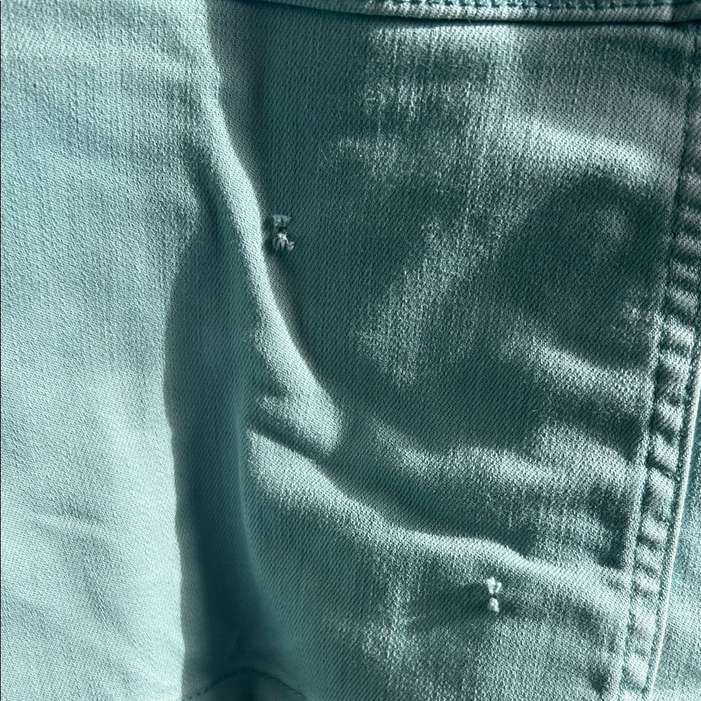 Talbots Light Blue Jacket - Picture 6 of 7